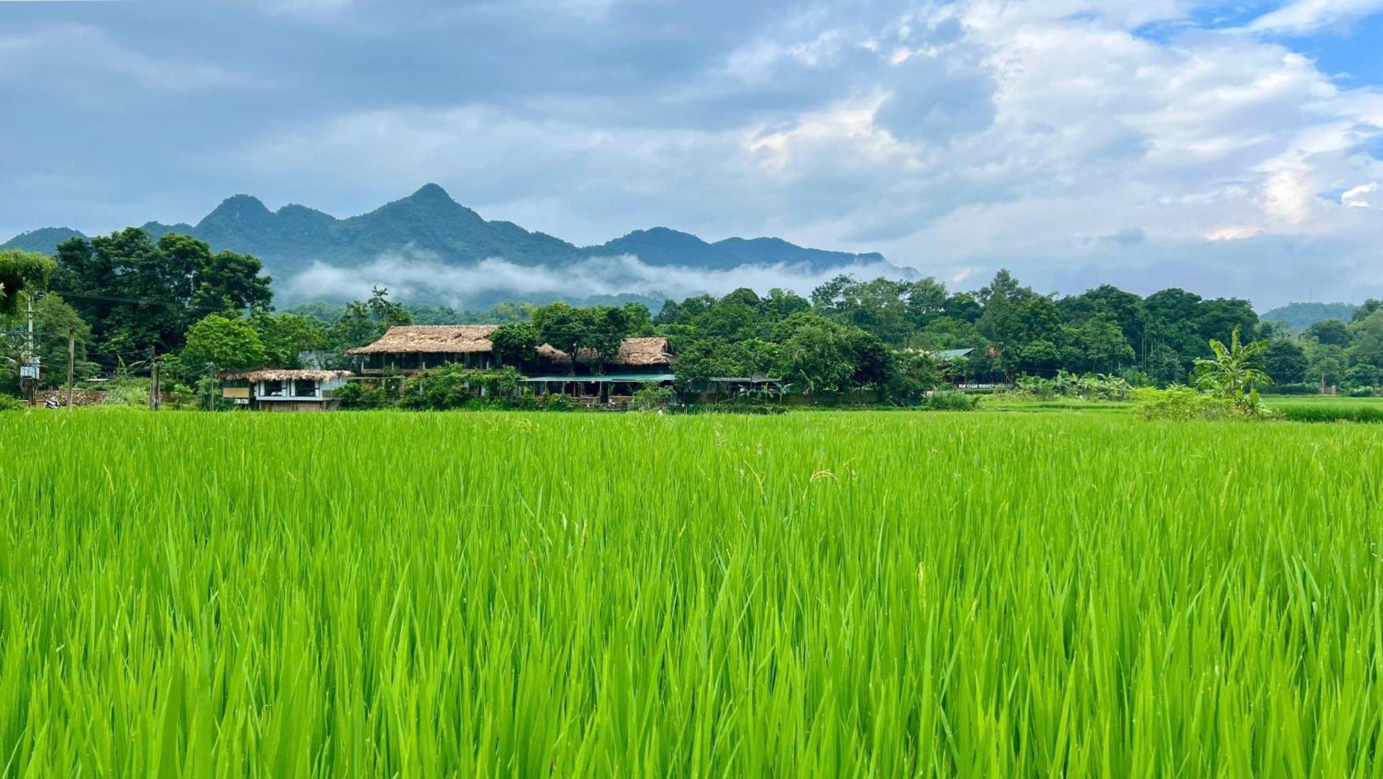 Mai Chau Sky Resort Eksteriør bilde